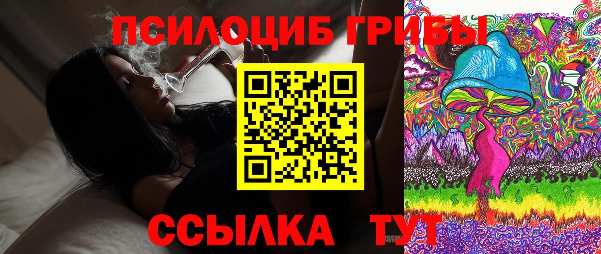 Псилоцибиновые грибы MAGIC MUSHROOMS  Вход с VPN  Усолье-Сибирское 